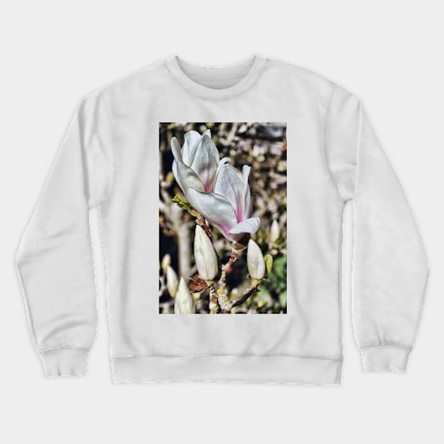 Majestic Magnolia in bloom Crewneck Sweatshirt by avrilharris